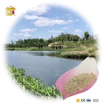 New Sewage Treatment Environmental Protection Biological Bacteria For Wastewater Solution
